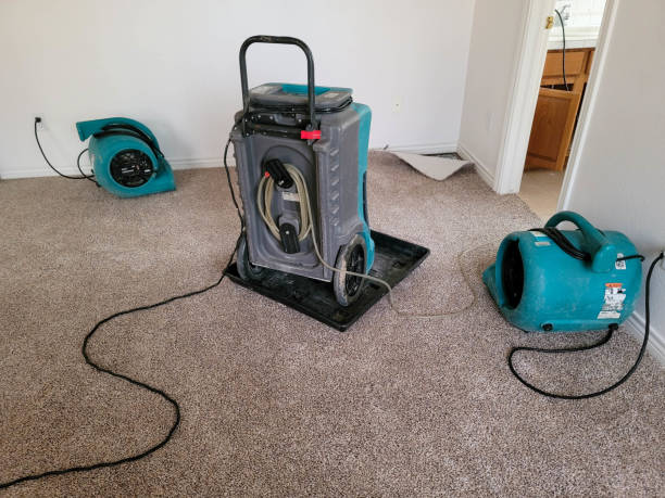  New Ellenton, SC Water damage restoration Pros
