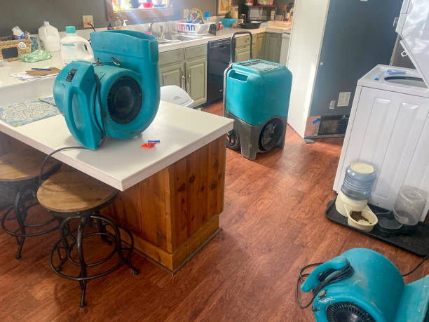 Best Fire Damage Restoration  in New Ellenton, SC