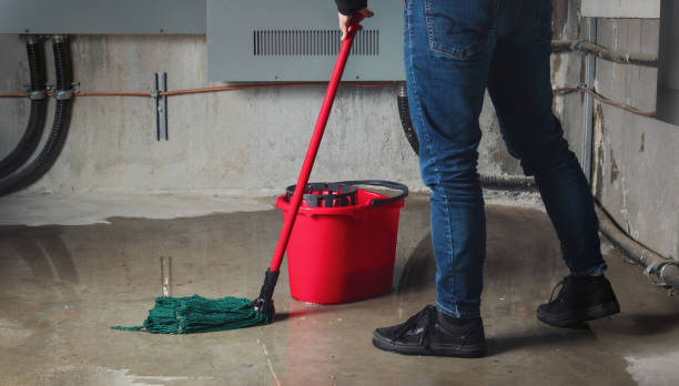 Best Flood restoration services  in New Ellenton, SC