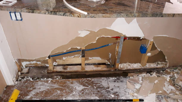Reliable New Ellenton, SC Water damage restoration Solutions