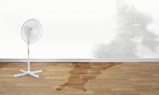 Best Flood damage cleanup  in New Ellenton, SC