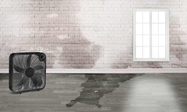 24/7 water damage repair in New Ellenton, SC