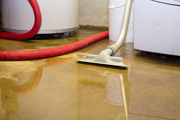 Best Sewage cleanup and water damage restoration  in New Ellenton, SC