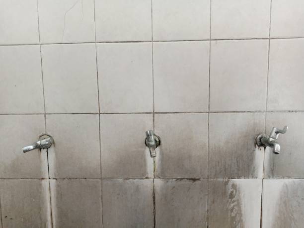 Best Ceiling water damage repair  in New Ellenton, SC