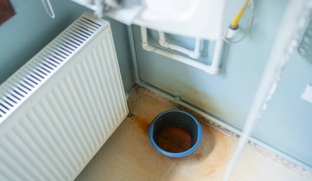 Best Residential water damage restoration  in New Ellenton, SC