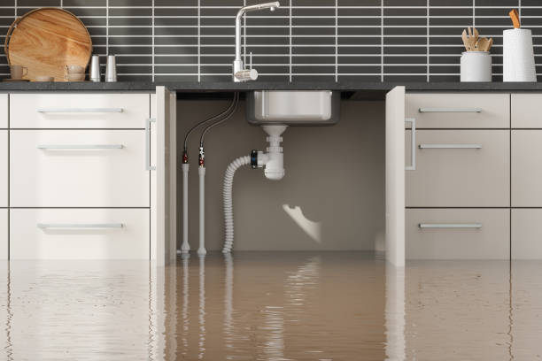 Best Mold removal after water damage  in New Ellenton, SC