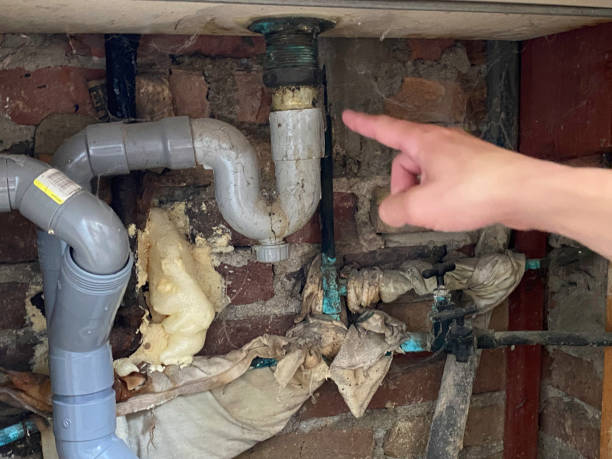 Best Water damage restoration near me  in New Ellenton, SC