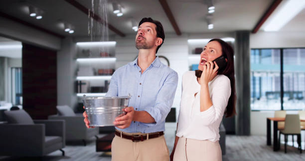 Best Water damage restoration process  in New Ellenton, SC