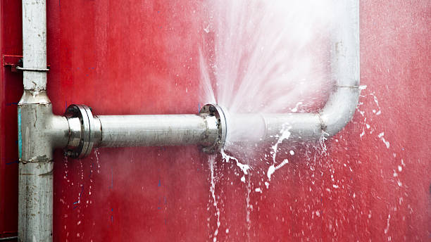 Best Local water damage restoration  in New Ellenton, SC
