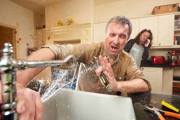 Best Sewage cleanup and water damage restoration  in New Ellenton, SC